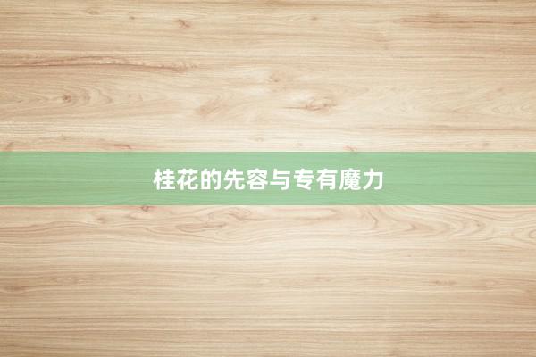 桂花的先容与专有魔力
