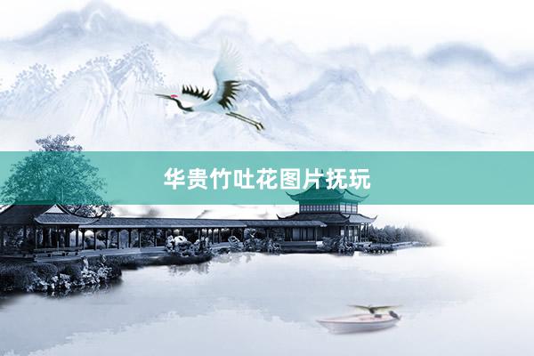 华贵竹吐花图片抚玩